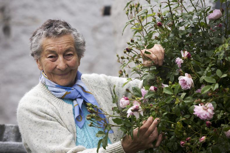 Lily Champ reflects on a life in the garden - Irish Country Magazine
