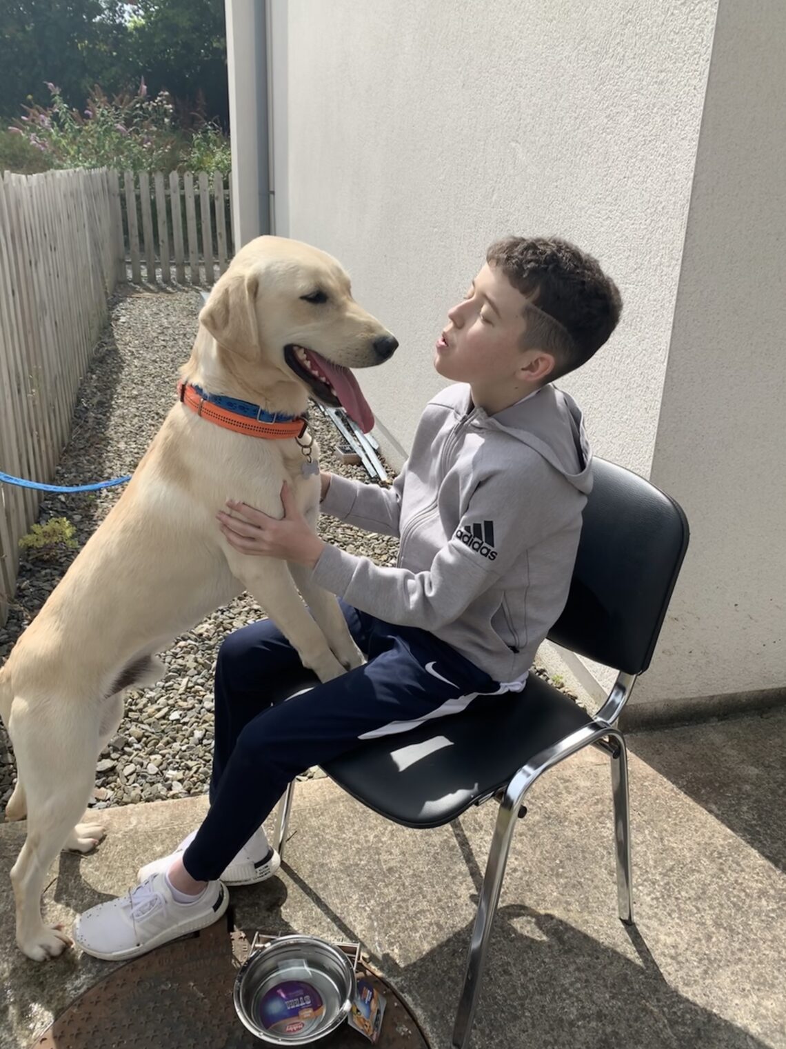 Cian's Kennels launches at Crumlin Irish Country Magazine