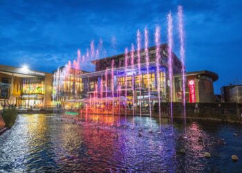 Things to see and do this November