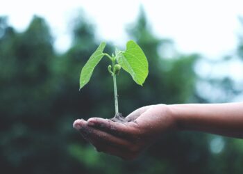 Irish Made Awards: Meet the makers passionate about sustainability