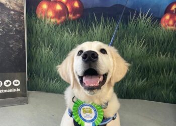 Could your adorable pooch be crowned Puppy of the Year?