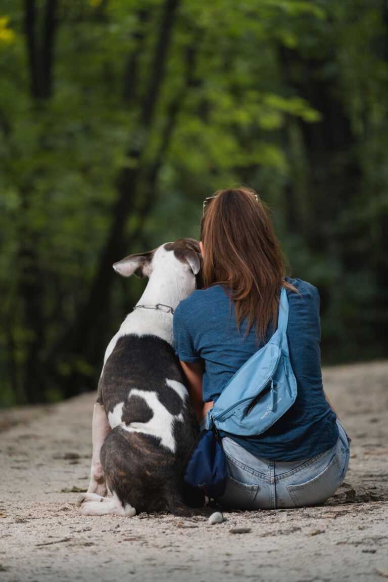 pet bereavement