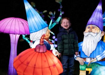 November event guide