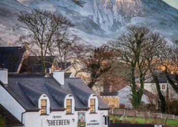 Here are five brilliant things to see and do in Westport