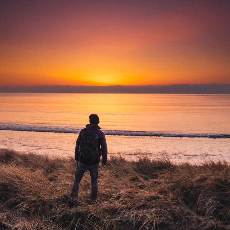 wexford