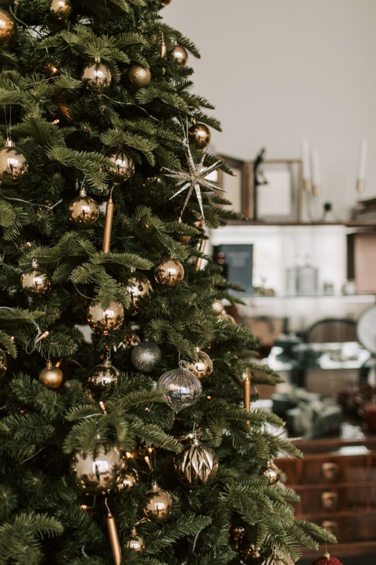christmas tree recycle