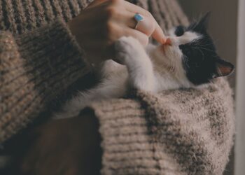 love in all its forms