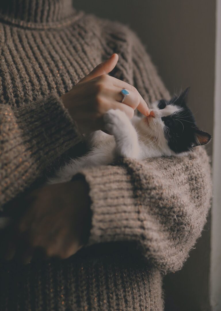 love in all its forms