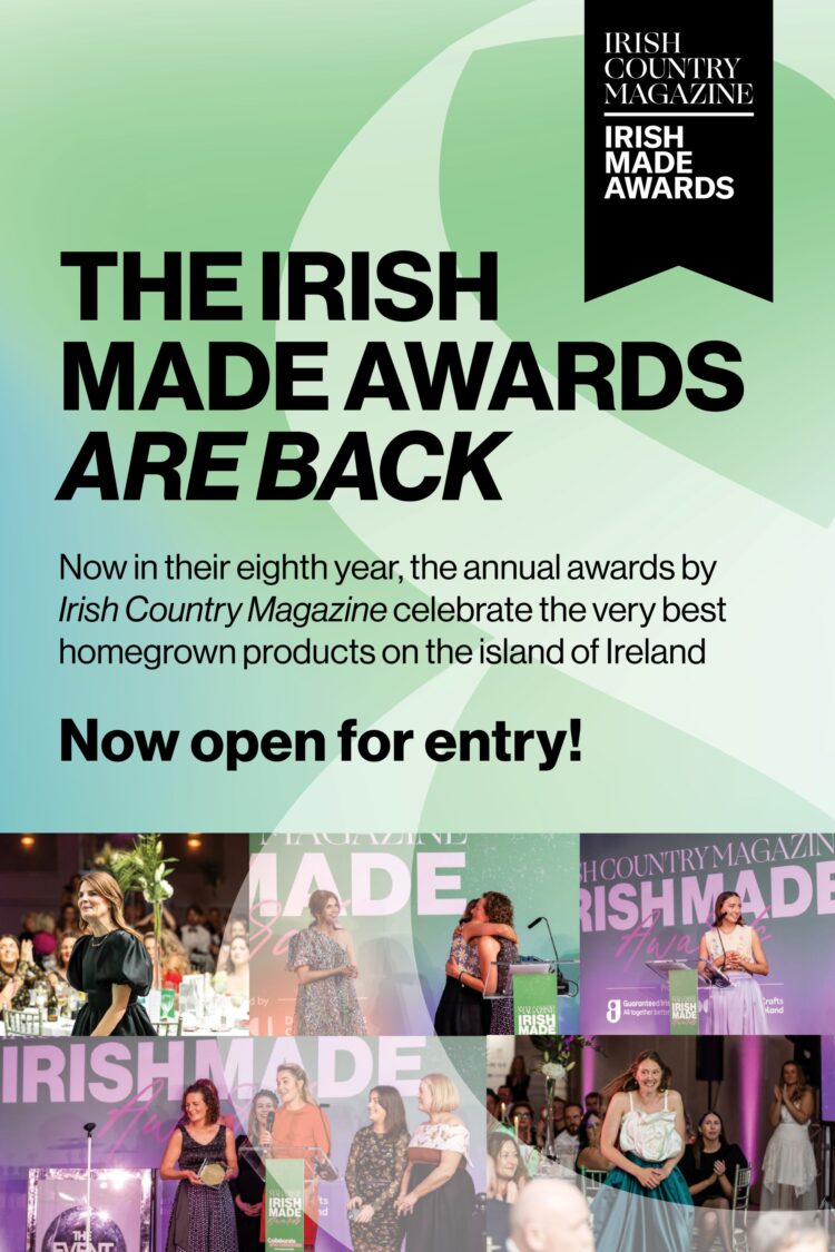 irish made awards 2024