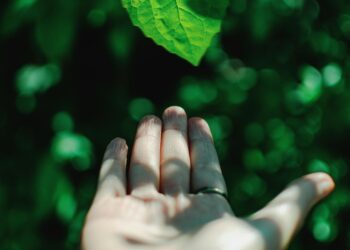 The coolest sustainability initiatives in Ireland to know about ahead of Earth Day