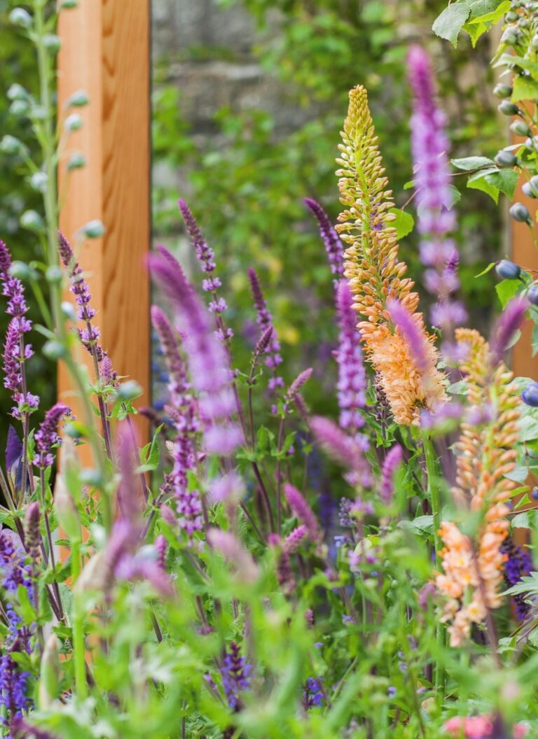 garden space