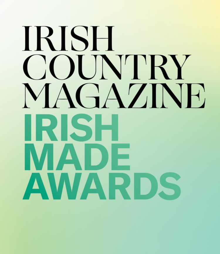 Irish made Awards 2024