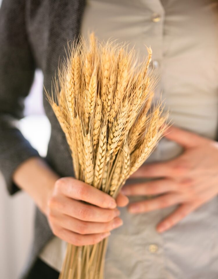 gluten free recipes