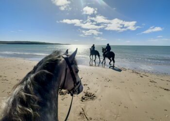 Coast to coast: These are the runners-up in our first ICM Photography Competition