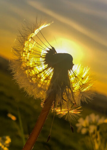 photography competition
