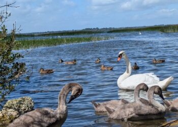 Westmeath unfolded: we take a picturesque road trip in ‘The Lake County’