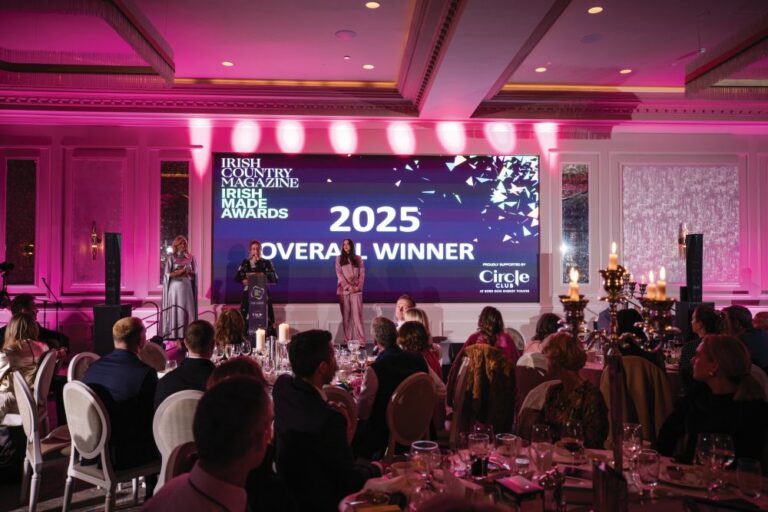 Guests at the Irish Made Awards celebrating Irish makers