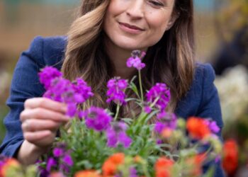 Our gardening columnist on why the smallest gardens often leave the biggest impression