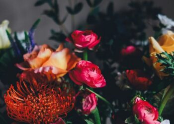 Read the runner-up of our short story competition: Say it with Flowers