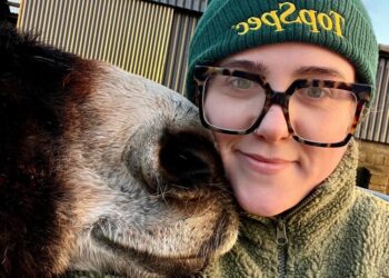 How one Cork woman is helping to care for 1,500 donkeys across Ireland