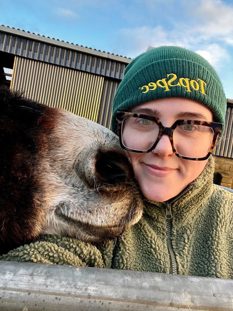 Ever wondered what the day to day life of a Farm Supervisor on a Donkey Sanctuary looks like?