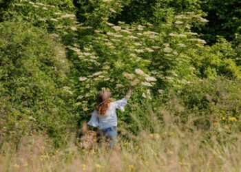 Ever heard of Fraughan Sunday? One of Ireland’s most unusual summer traditions
