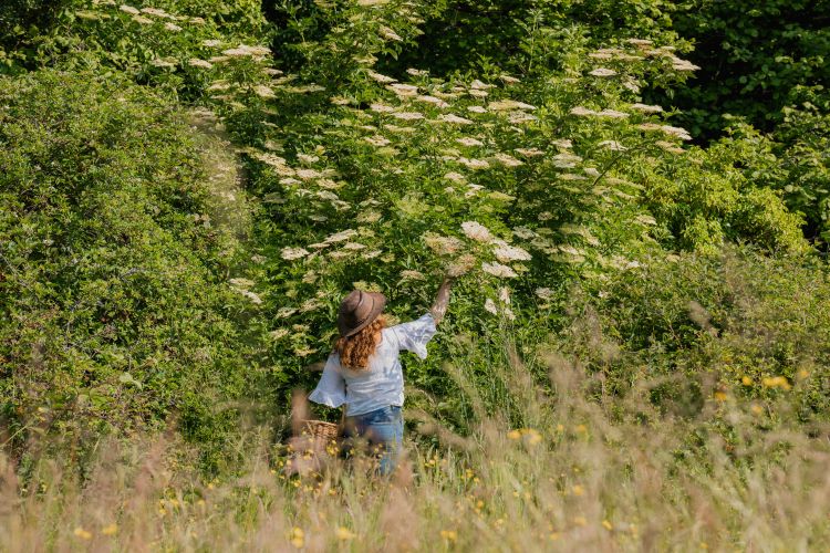 Geraldine Kavanagh, Head Forager at the Glendalough Distillery, talks us through the revival of the ancient tradition of Fraughan Sunday as we approach the last Sunday of July.