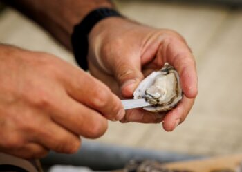 How to shuck oysters at home