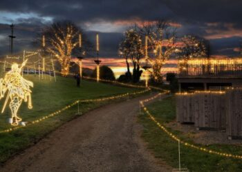 Looking for spooky seasonal plans with kids? We’ve got you covered